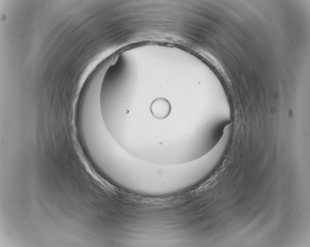 X0000085221128200704091925