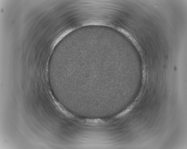 X0000085221129200704091925