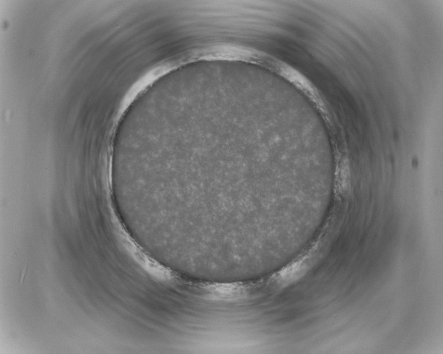 X0000085221130200704091925