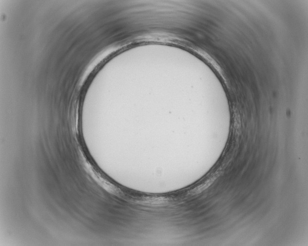 X0000085221131200704091925