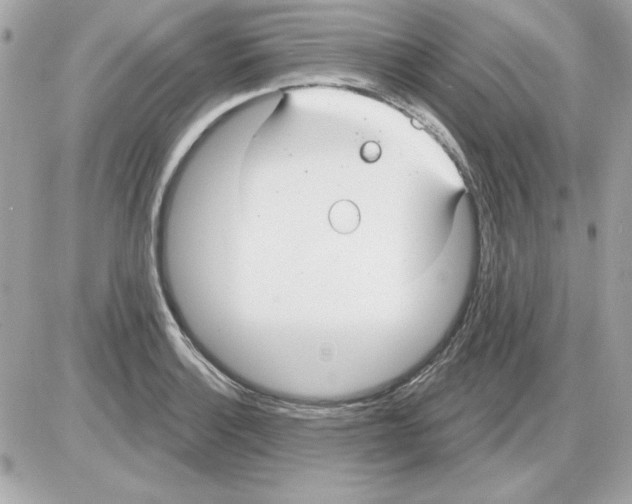 X0000085221132200704091925