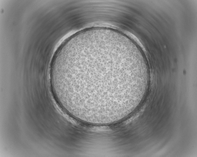 X0000085221133200704091925