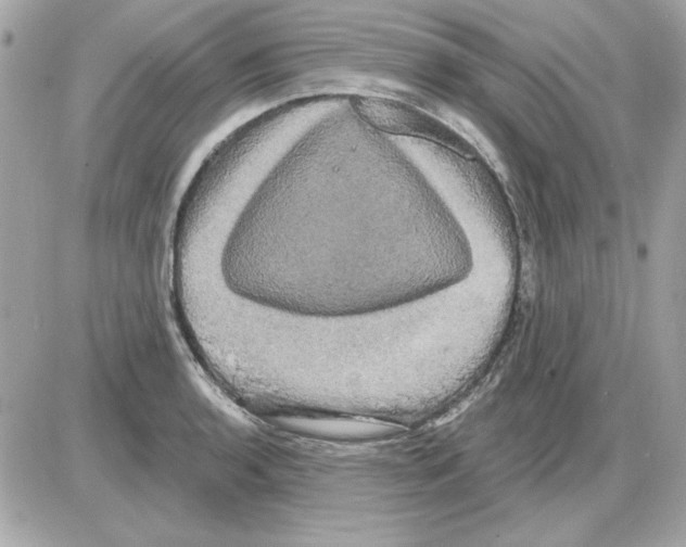 X0000085221136200704091925