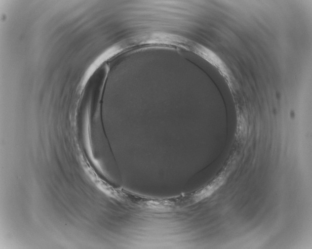 X0000085221138200704091925