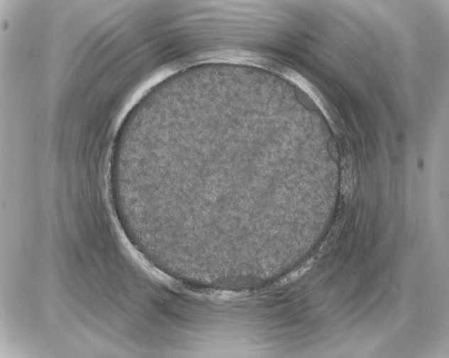 X0000085221139200704091925