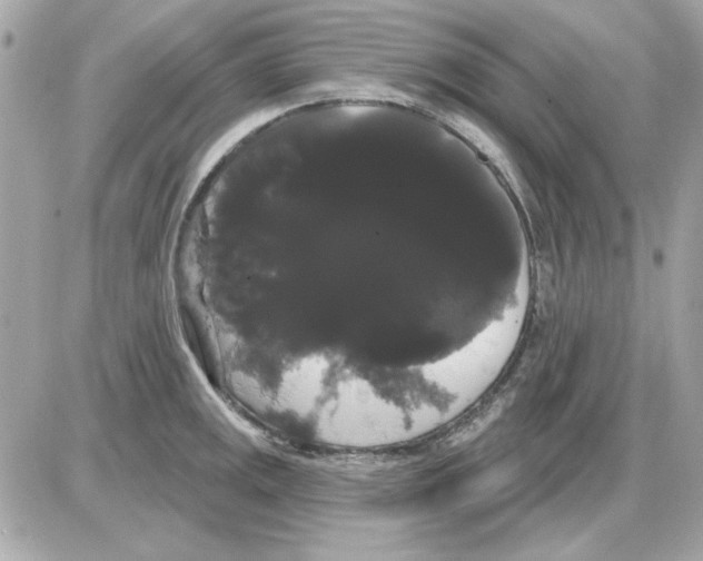 X0000085221141200704091925