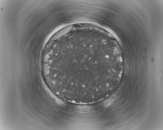 X0000085221142200704091925