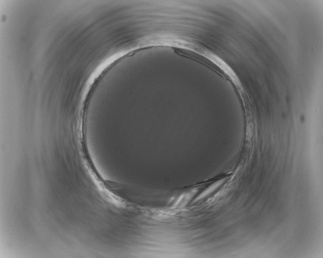 X0000085221144200704091925