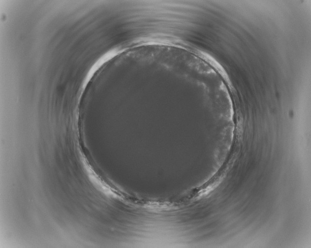 X0000085221146200704091925