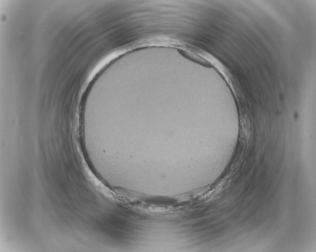 X0000085221147200704091925