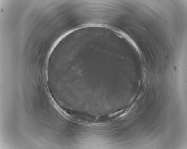 X0000085221148200704091925