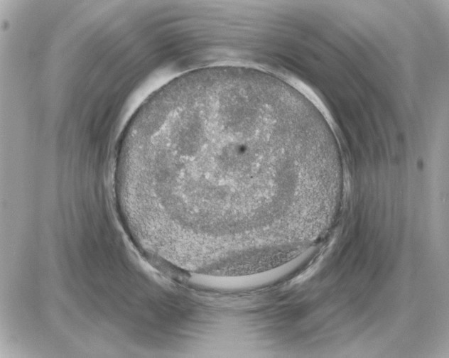 X0000085221149200704091925