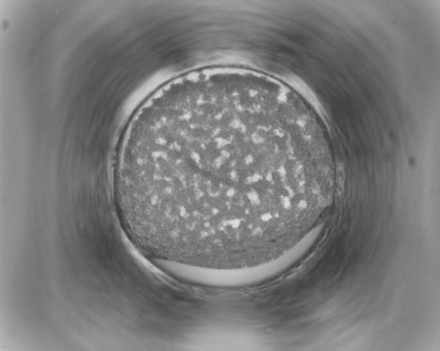 X0000085221151200704091925