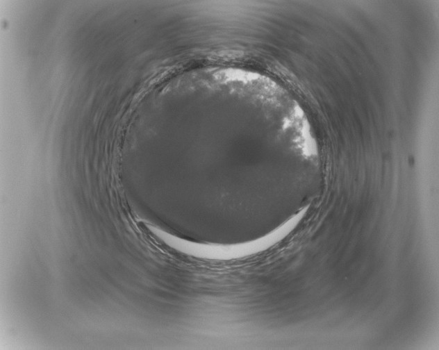 X0000085221153200704091924