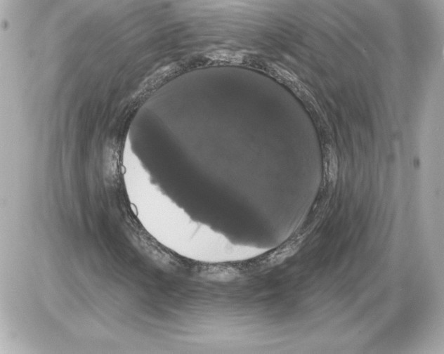 X0000085221154200704091924