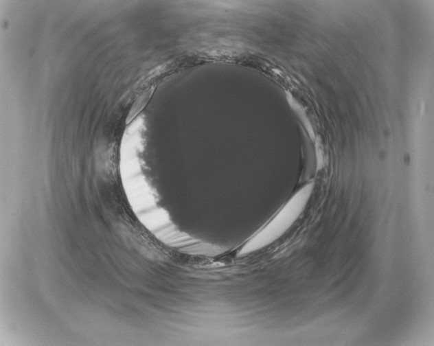 X0000085221156200704091924