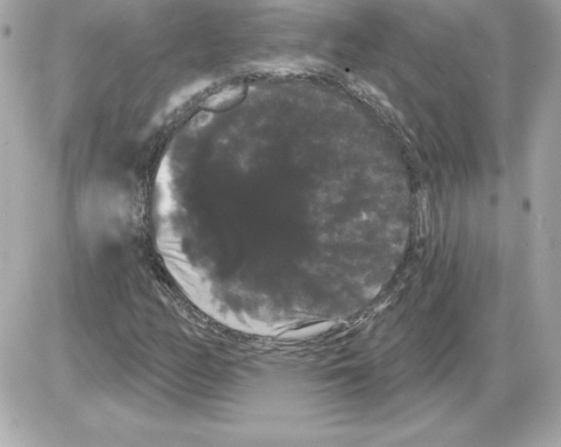 X0000085221158200704091924