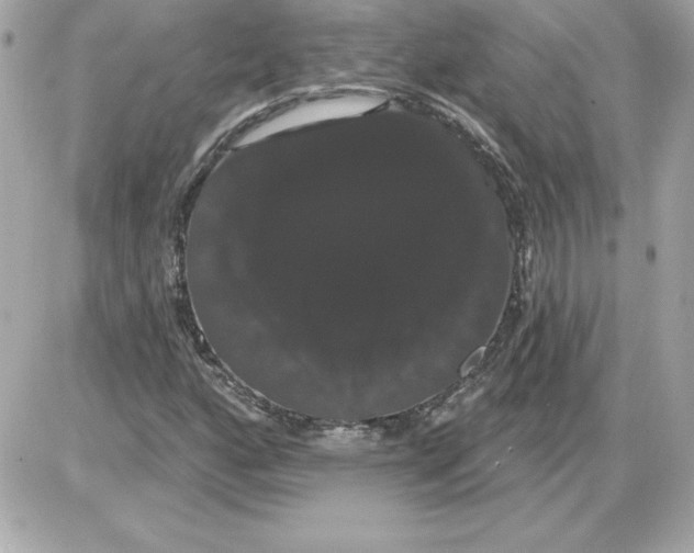 X0000085221160200704091924