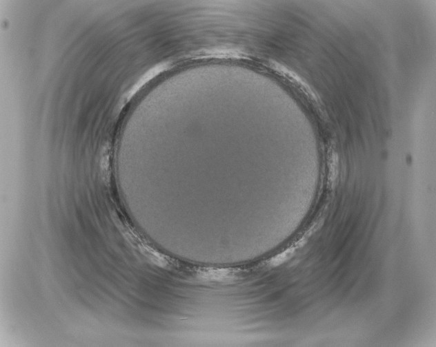 X0000085221162200704091924