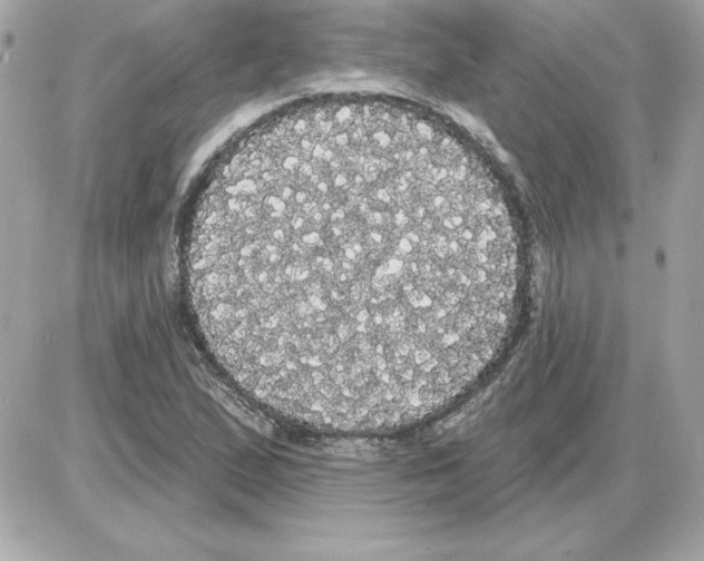 X0000085221167200704091924