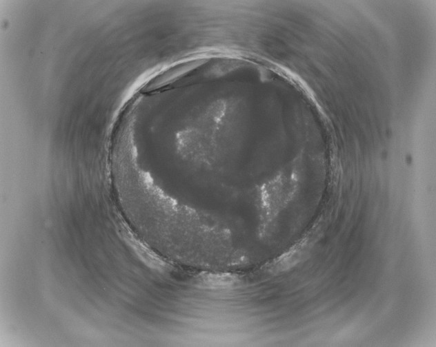 X0000085221168200704091924