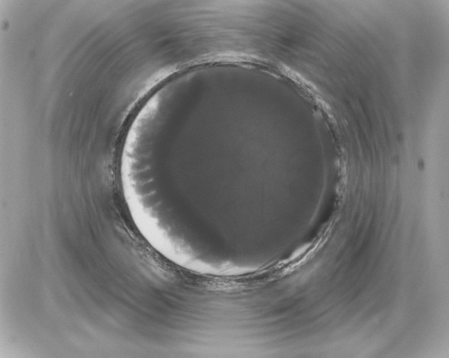 X0000085221170200704091924