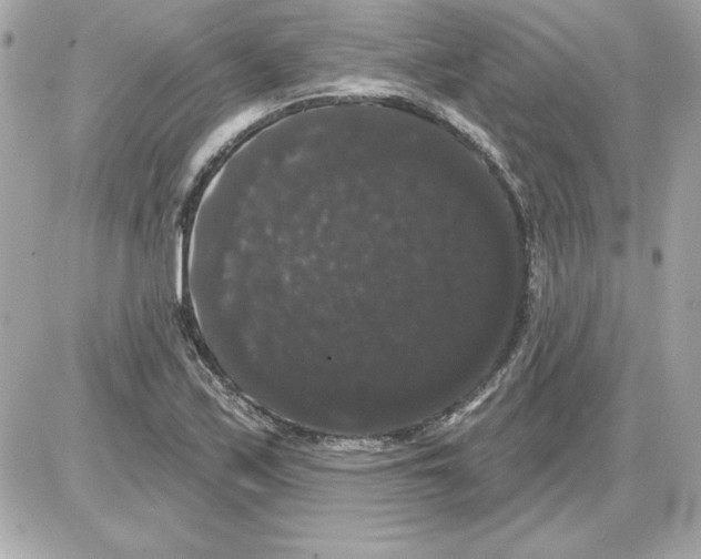 X0000085221171200704091924