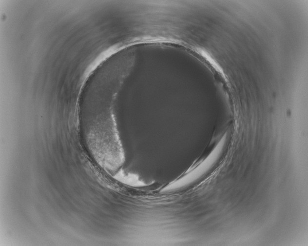 X0000085221173200704091924