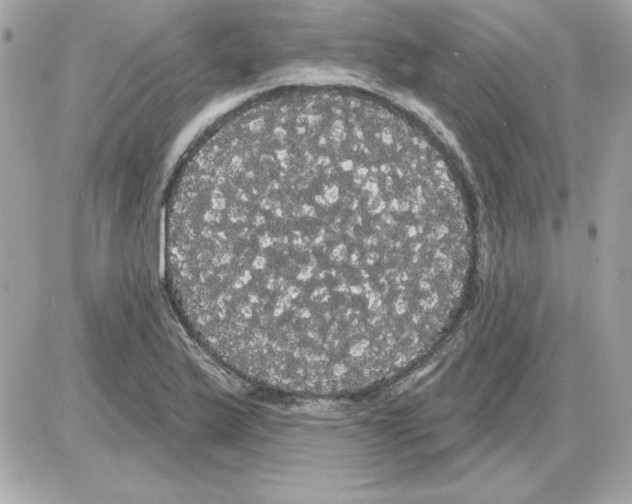 X0000085221175200704091924