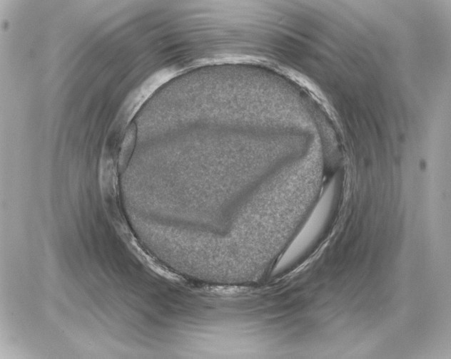 X0000085221177200704091924