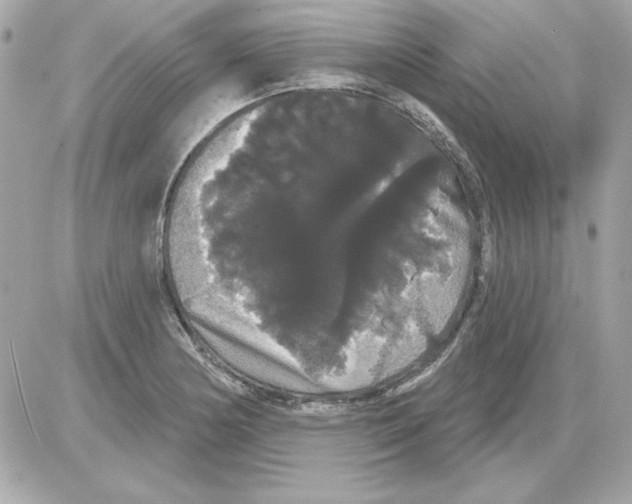 X0000085221178200704091924