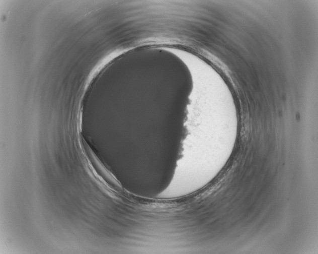 X0000085221179200704091924