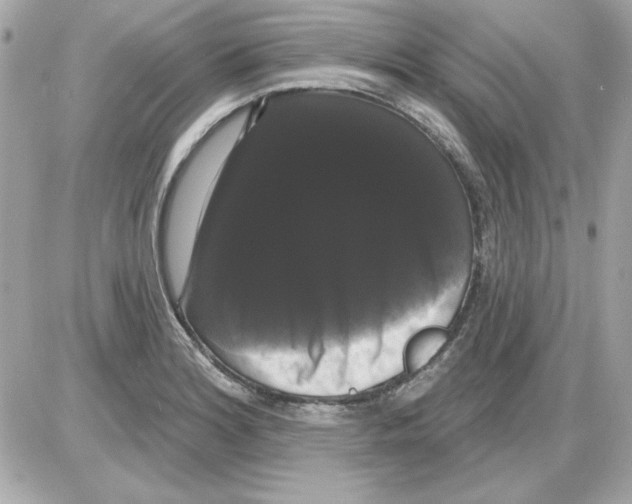 X0000085221180200704091924