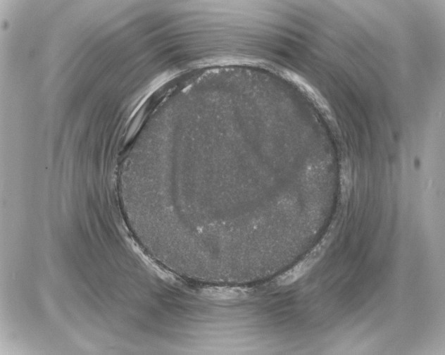 X0000085221185200704091924