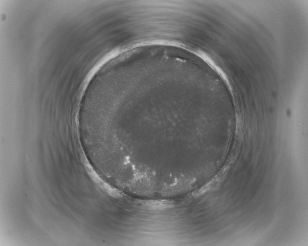 X0000085221189200704091924