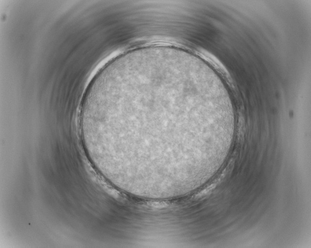 X0000085221190200704091924