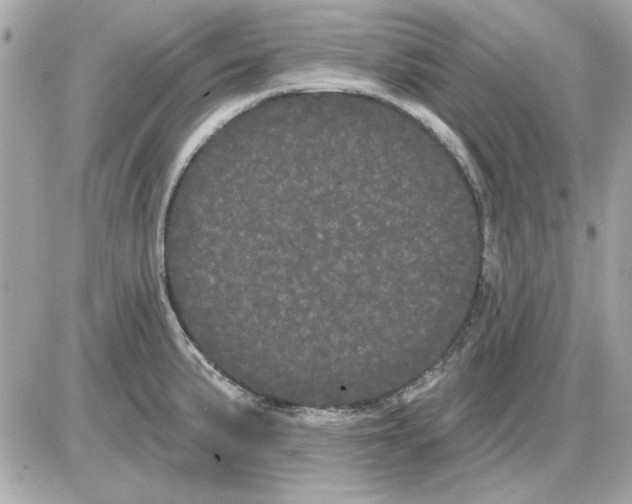 X0000085221191200704091924