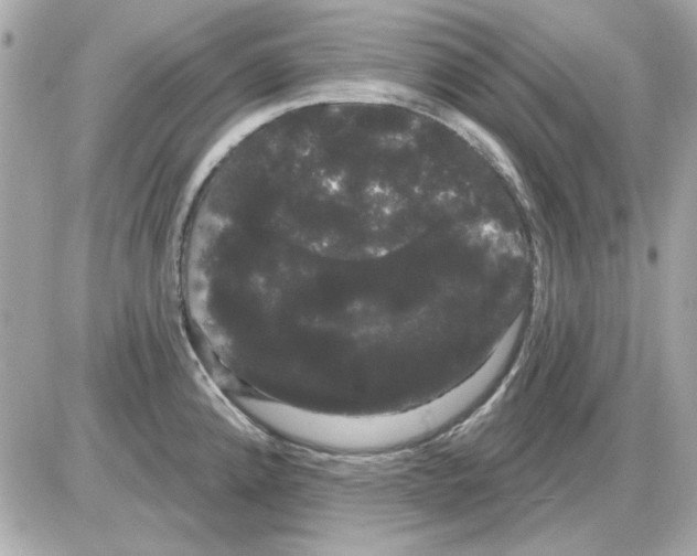 X0000085221192200704091924