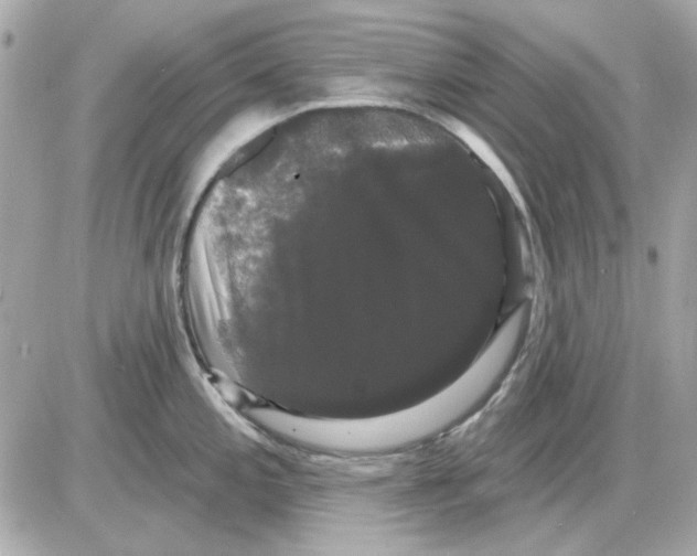 X0000085221197200704091924