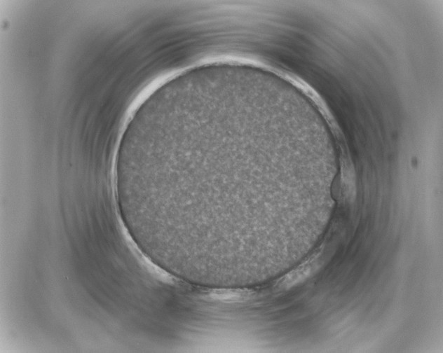 X0000085221199200704091924