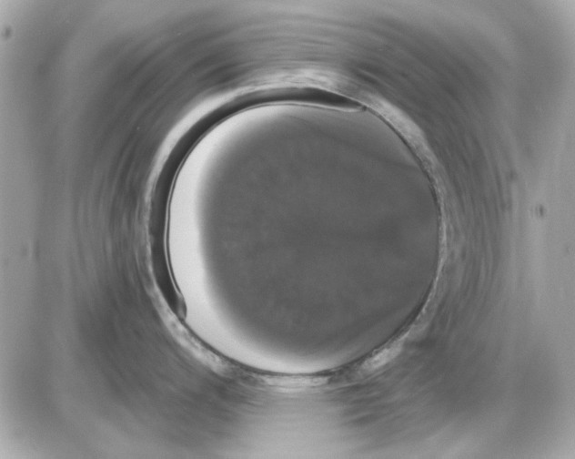 X0000085221200200704091924