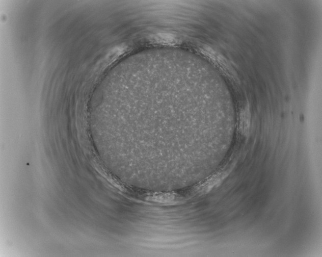 X0000085221201200704091923