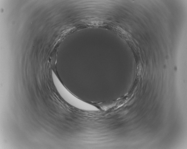 X0000085221202200704091923