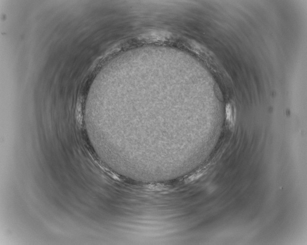 X0000085221203200704091923