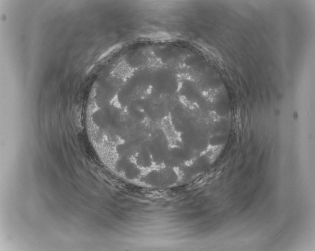 X0000085221205200704091923