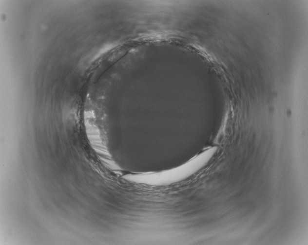 X0000085221206200704091923