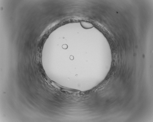 X0000085221207200704091923