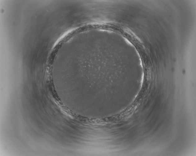 X0000085221208200704091923