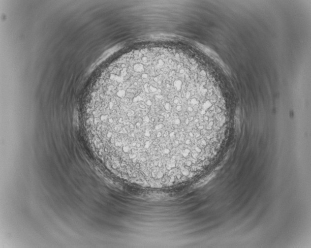 X0000085221209200704091923