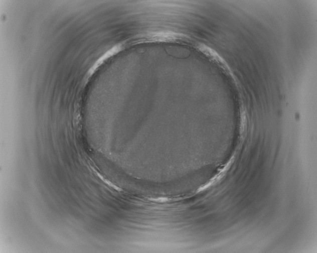 X0000085221210200704091923